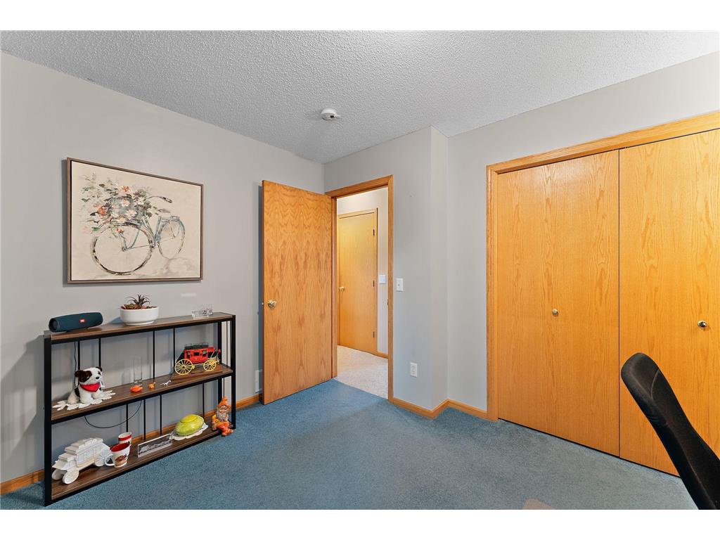 11206 72nd Street S Cottage Grove MN 55016 6804749 image25