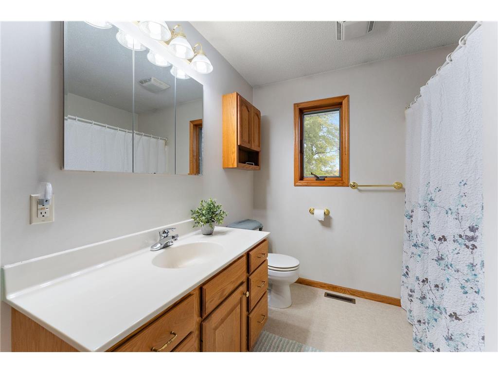 11206 72nd Street S Cottage Grove MN 55016 6804749 image26