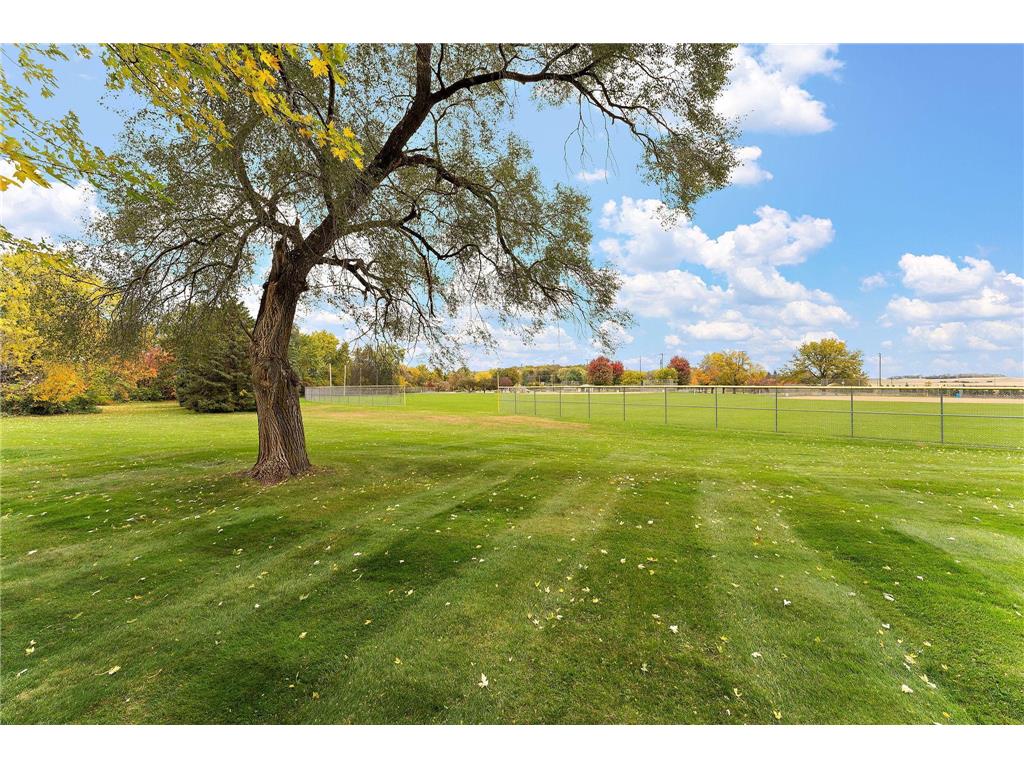 11206 72nd Street S Cottage Grove MN 55016 6804749 image40