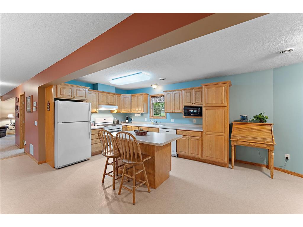 11206 72nd Street S Cottage Grove MN 55016 6804749 image7