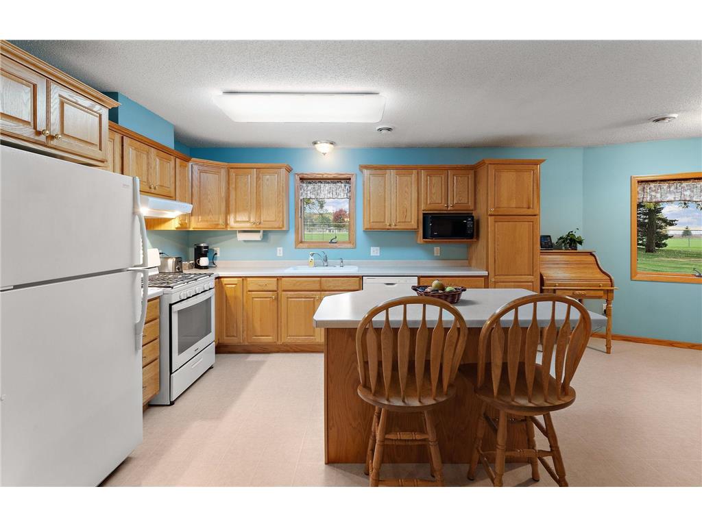 11206 72nd Street S Cottage Grove MN 55016 6804749 image9