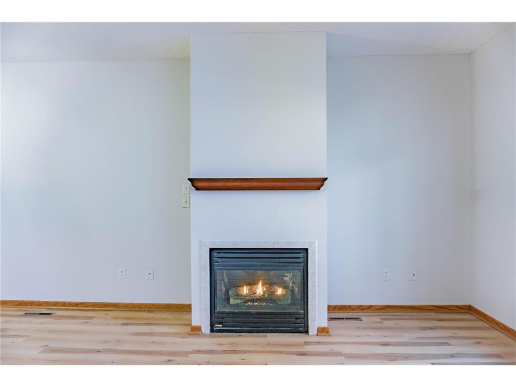 1122 Crystal Place W Chaska MN 55318 7043013 image19