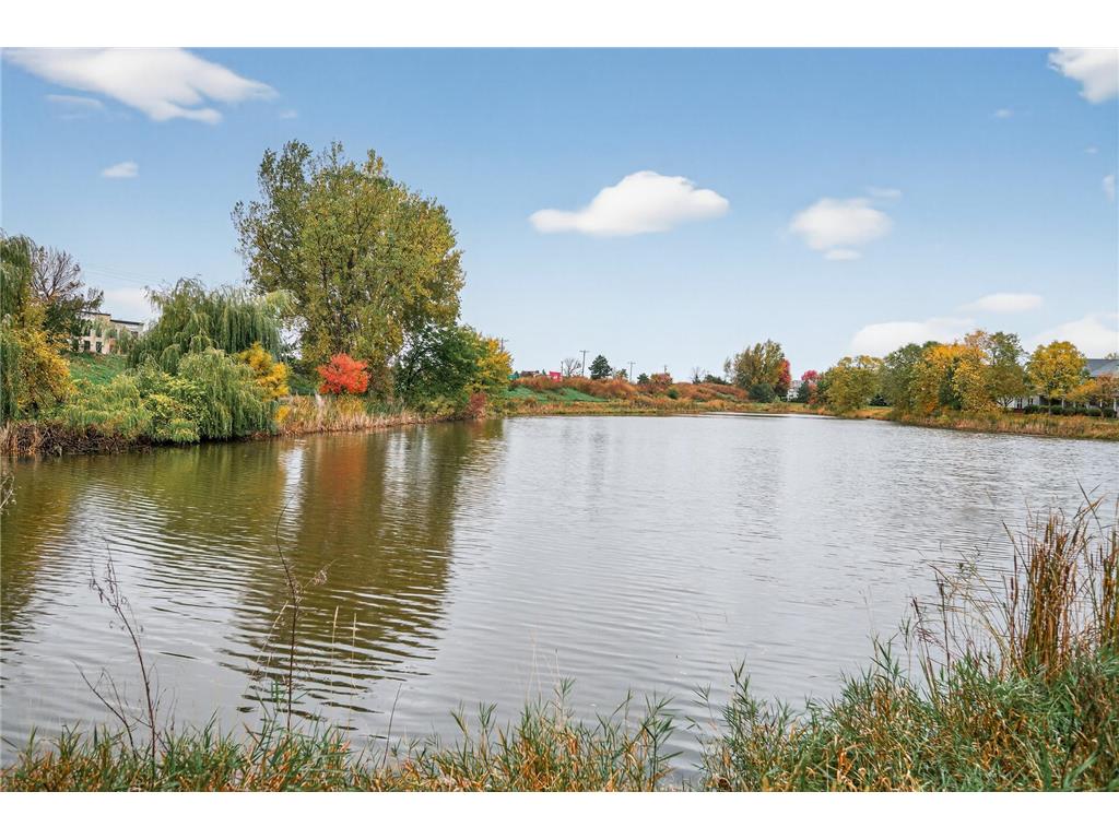 11221 Aberdeen Street NE #I Blaine MN 55449 6805277 image26