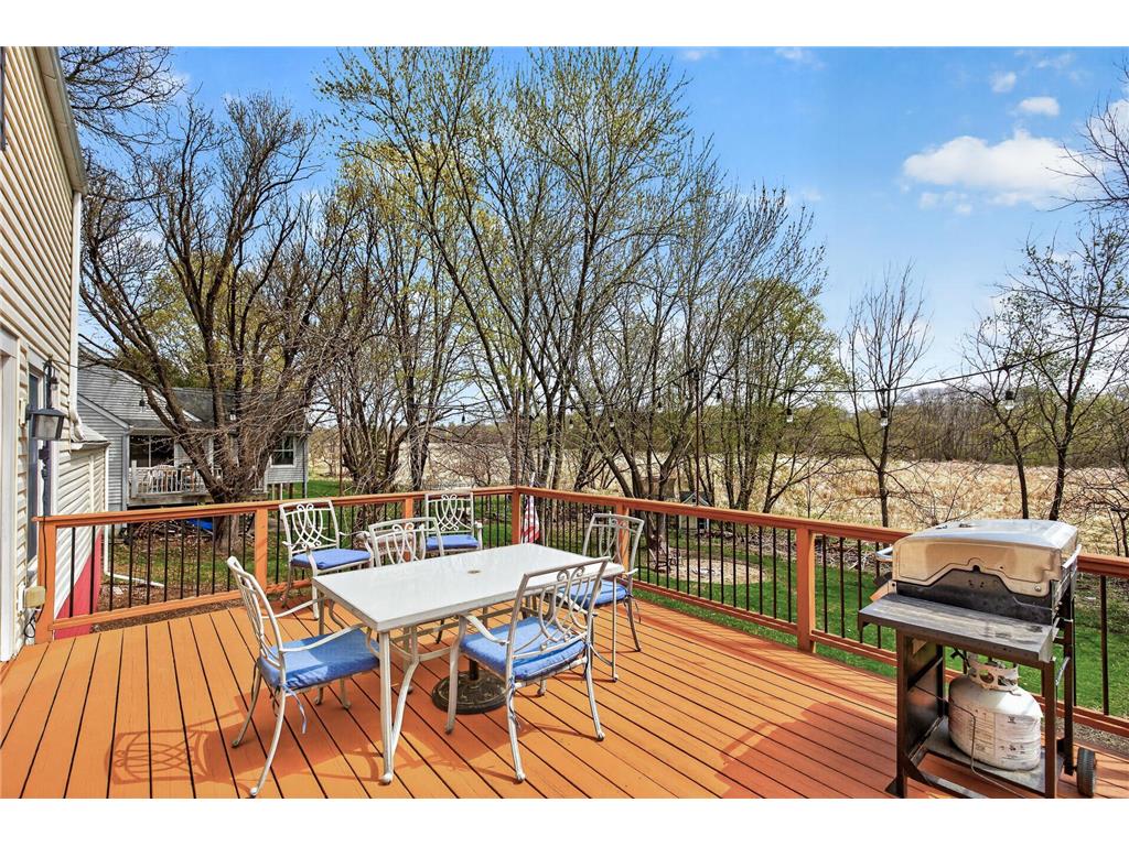 112231 Hutchins Court Chaska MN 55318 7061073 image3