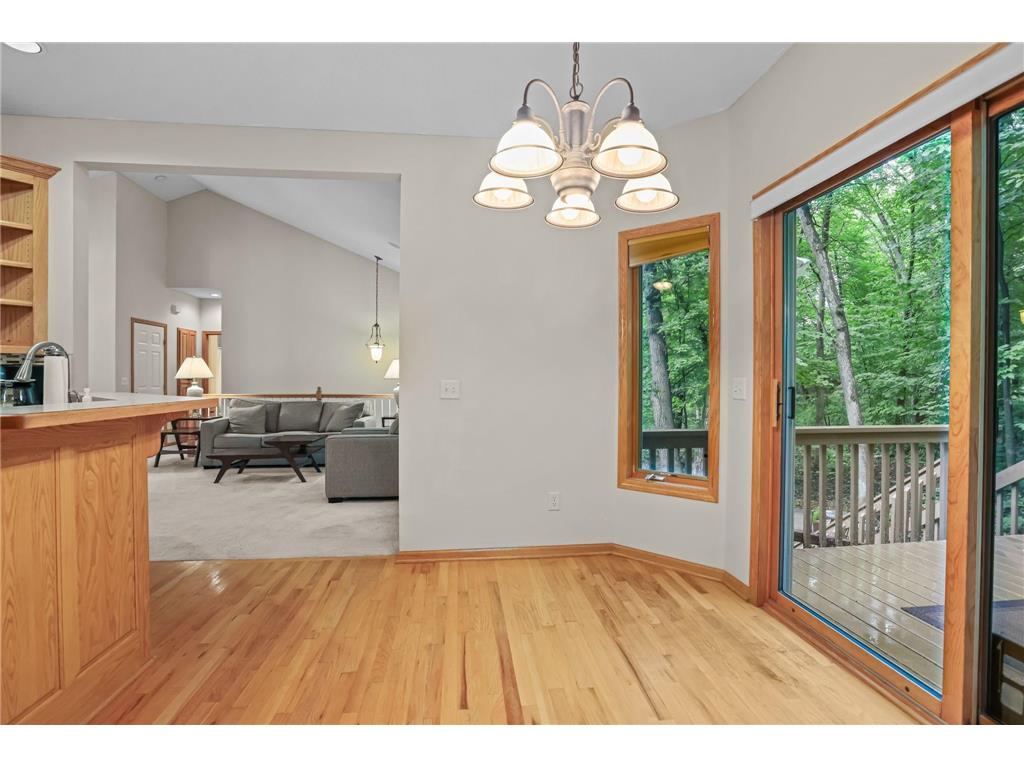11227 Woods Trail N Champlin MN 55316 7104541 image12