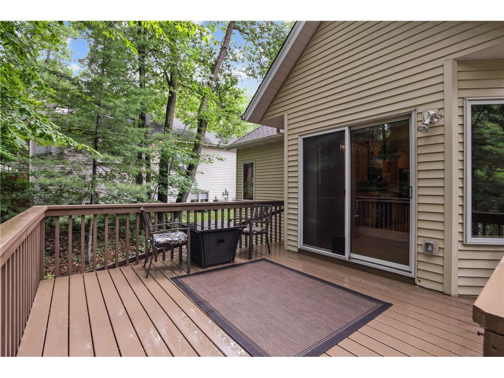 11227 Woods Trail N Champlin MN 55316 7104541 image13