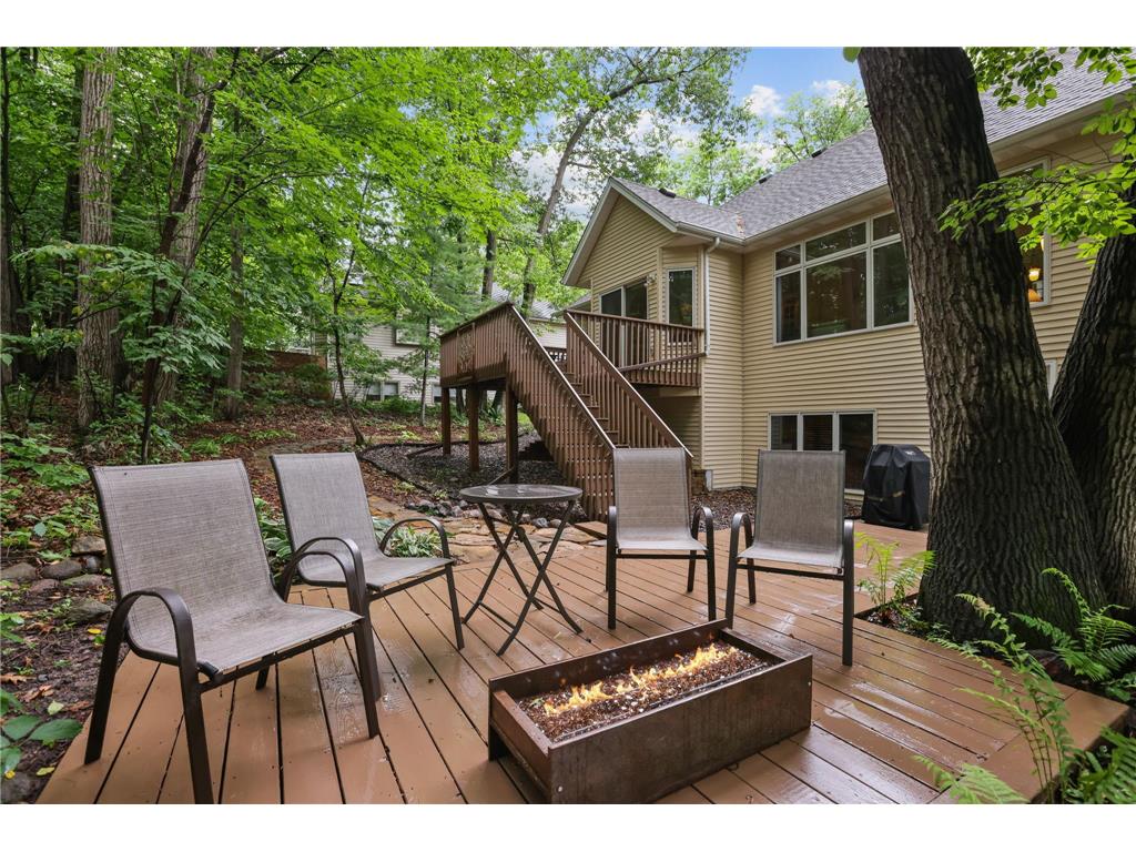 11227 Woods Trail N Champlin MN 55316 7104541 image14