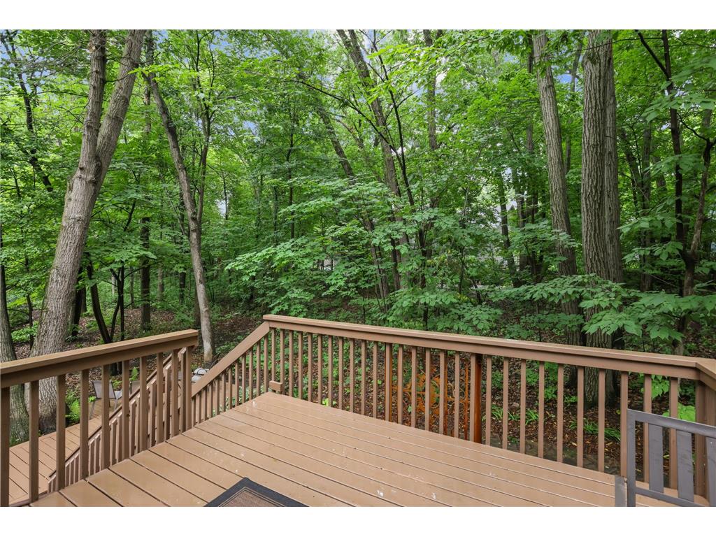 11227 Woods Trail N Champlin MN 55316 7104541 image15