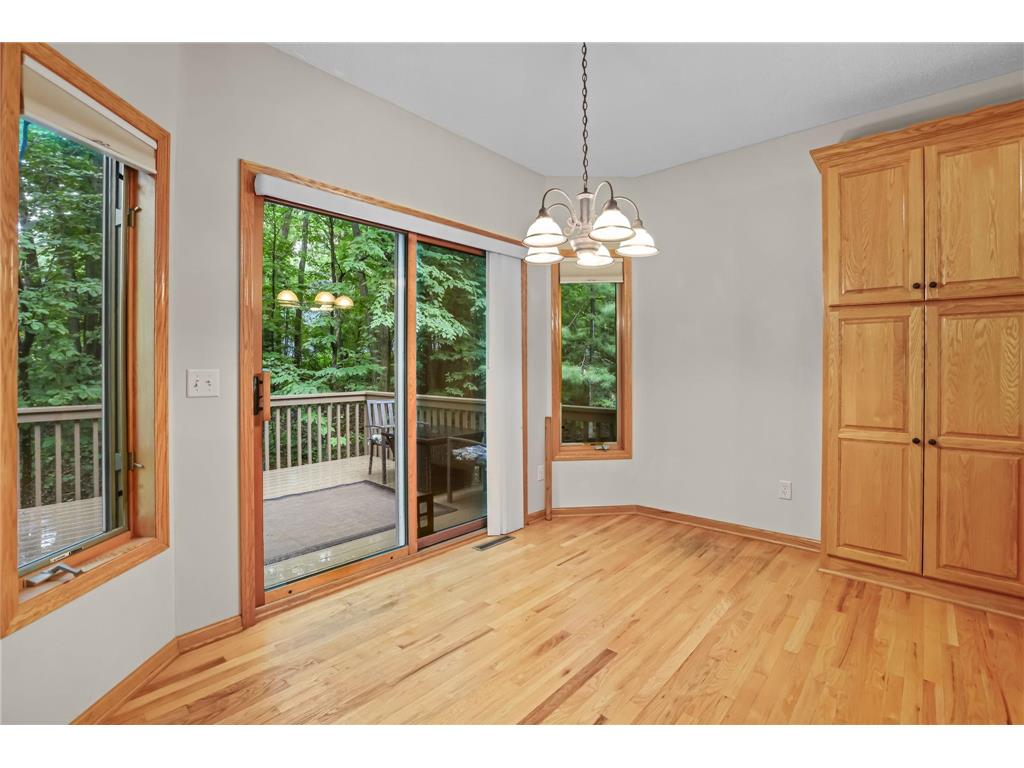 11227 Woods Trail N Champlin MN 55316 7104541 image17