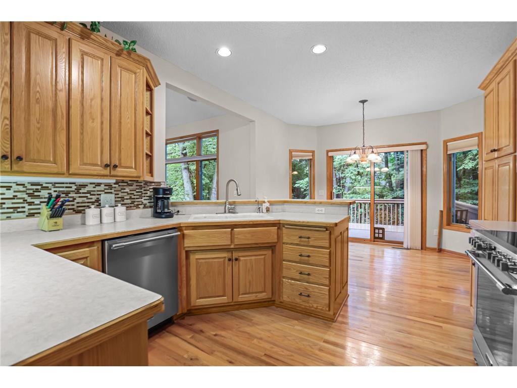 11227 Woods Trail N Champlin MN 55316 7104541 image18