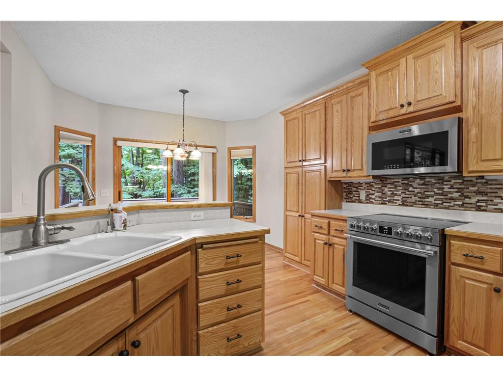 11227 Woods Trail N Champlin MN 55316 7104541 image19