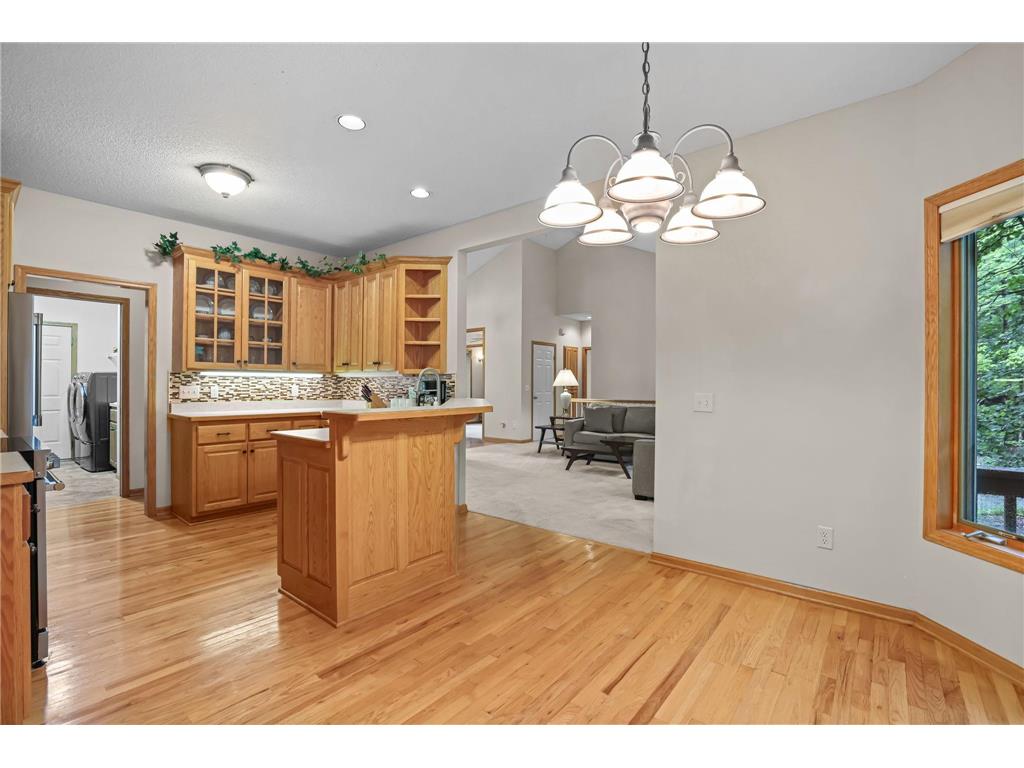 11227 Woods Trail N Champlin MN 55316 7104541 image20