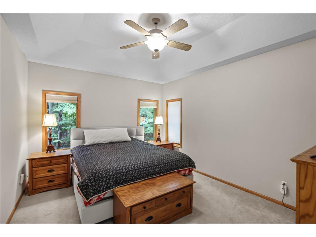 11227 Woods Trail N Champlin MN 55316 7104541 image23