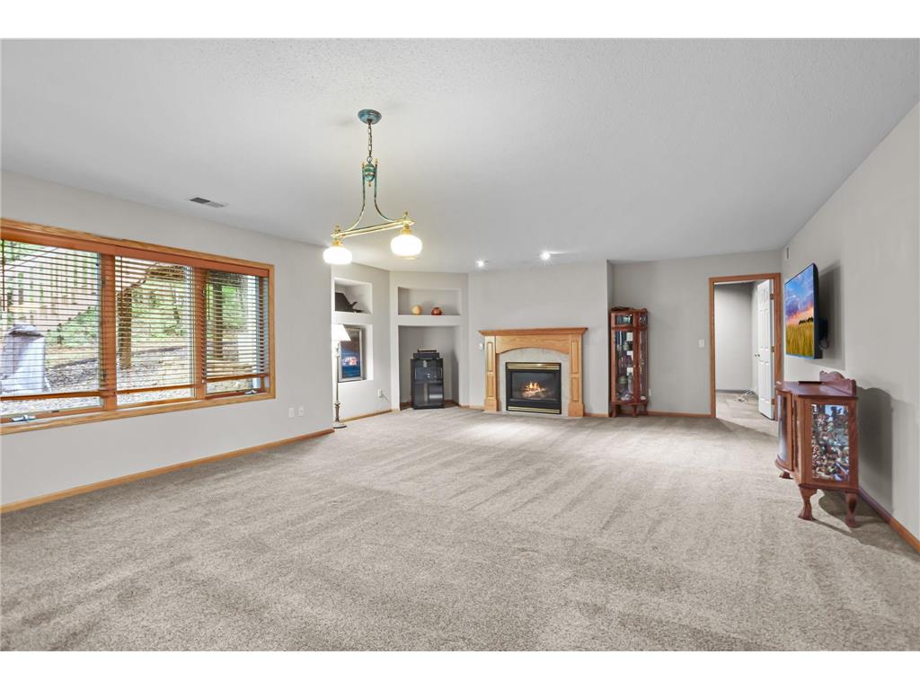 11227 Woods Trail N Champlin MN 55316 7104541 image28