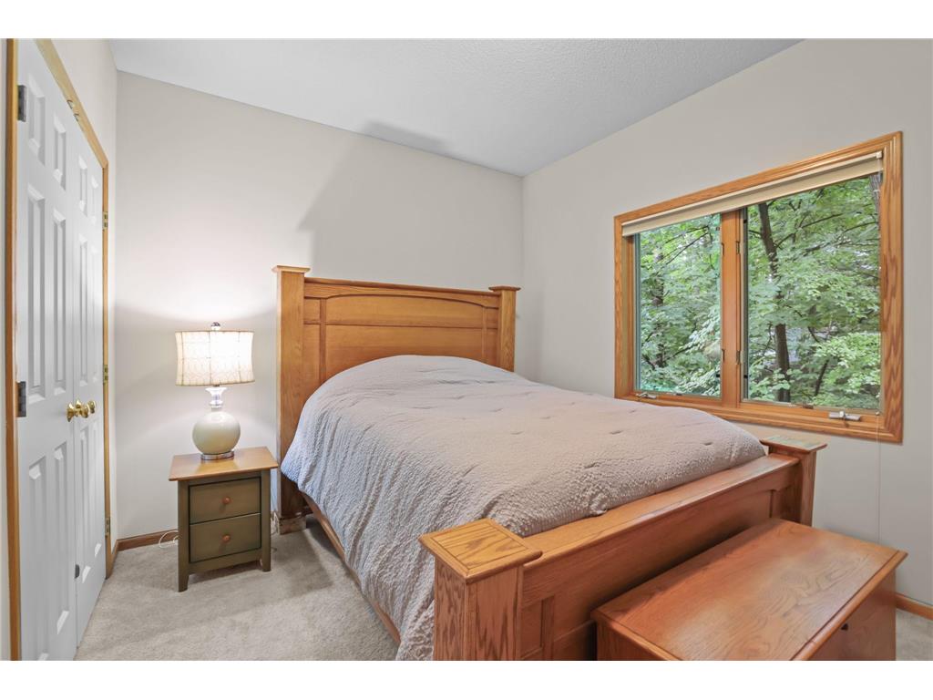 11227 Woods Trail N Champlin MN 55316 7104541 image29