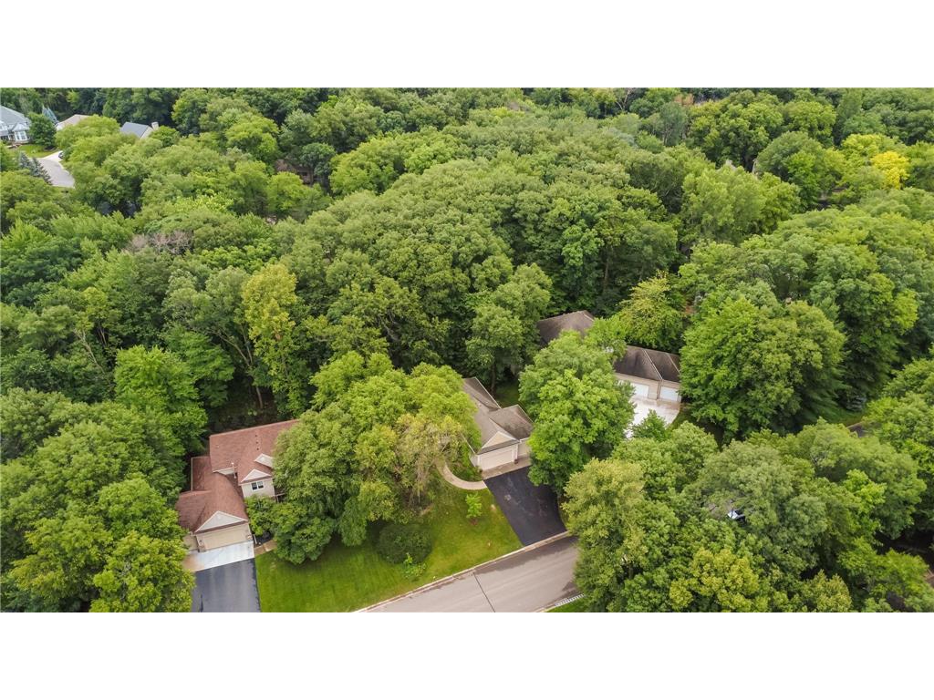 11227 Woods Trail N Champlin MN 55316 7104541 image34