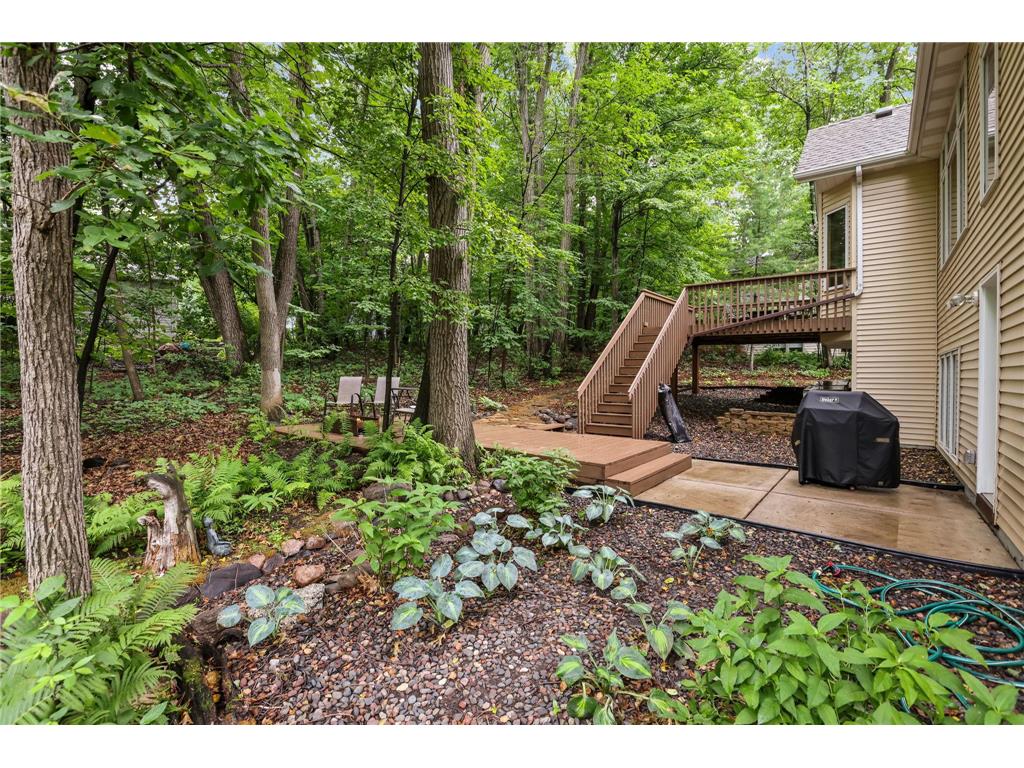 11227 Woods Trail N Champlin MN 55316 7104541 image36
