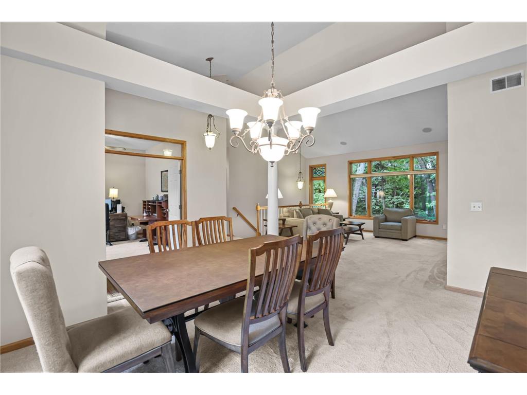 11227 Woods Trail N Champlin MN 55316 7104541 image7
