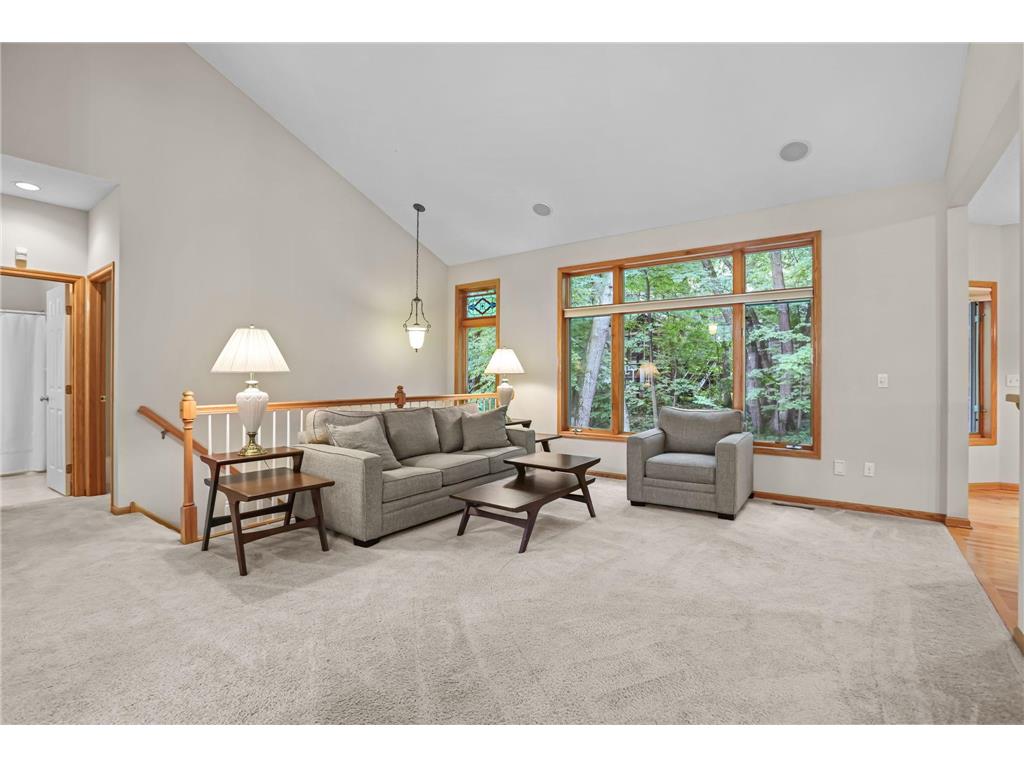 11227 Woods Trail N Champlin MN 55316 7104541 image9