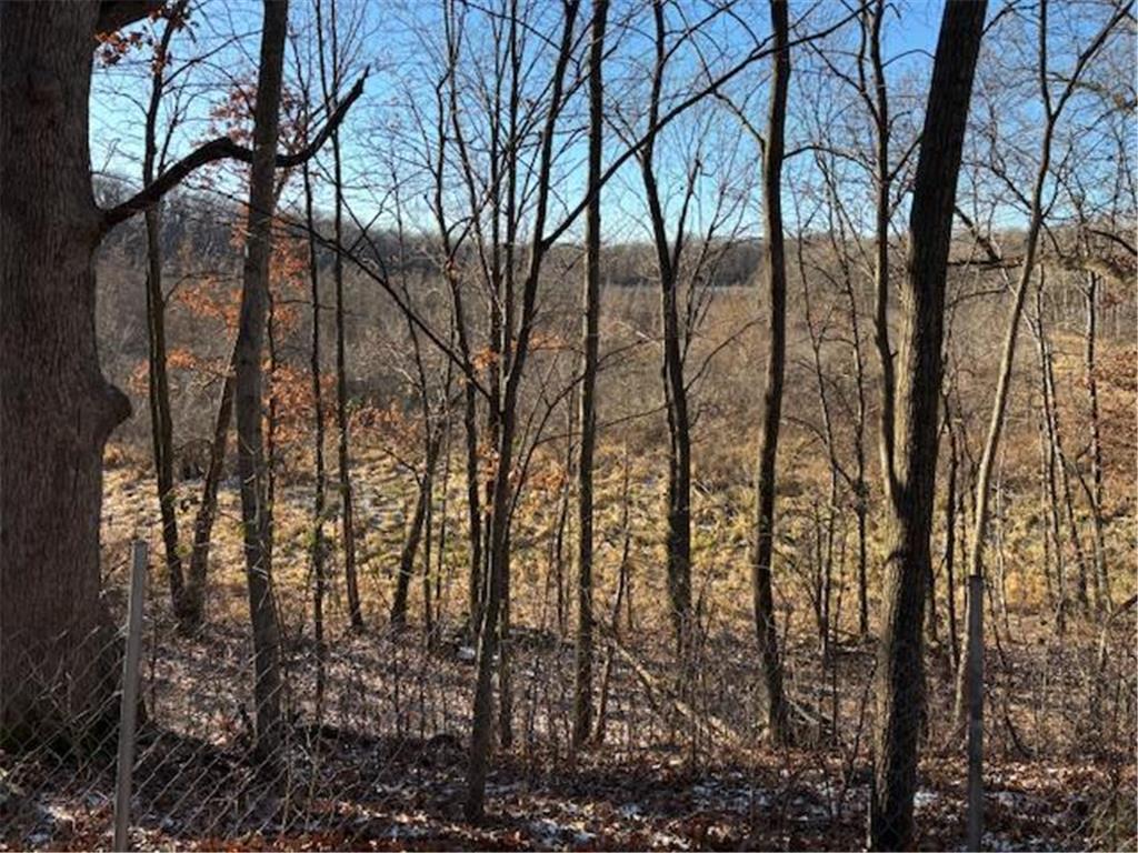 11233 Chisago Boulevard Chisago City MN 55013 6637923 image45