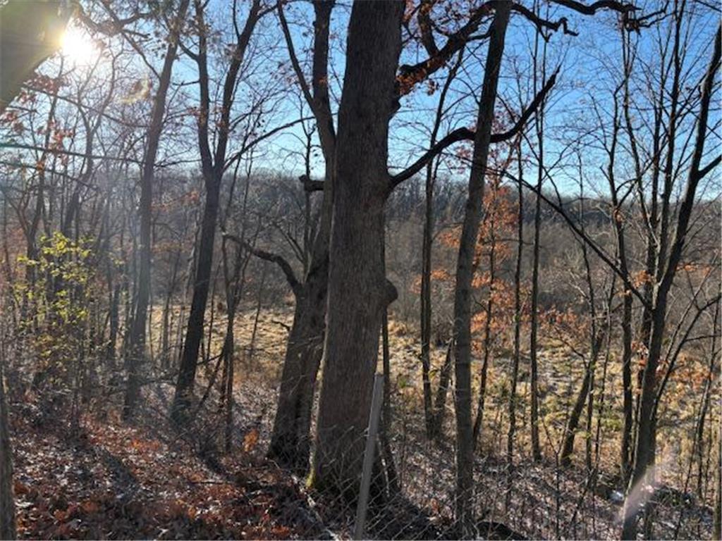 11233 Chisago Boulevard Chisago City MN 55013 6637923 image46