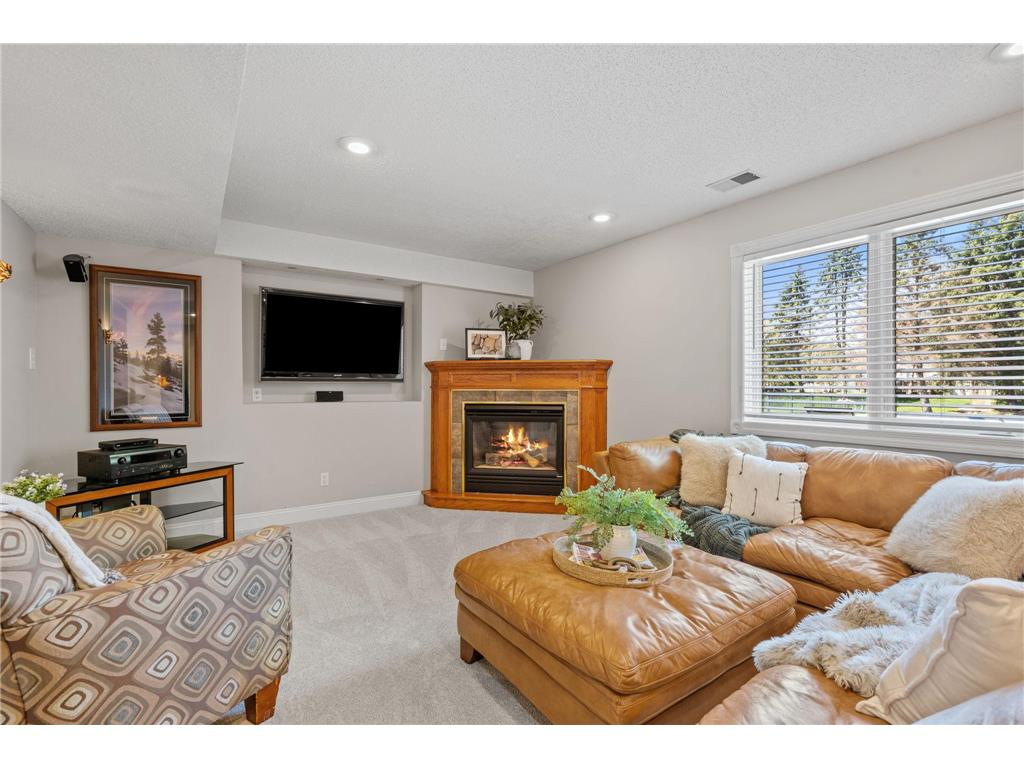 11239 Apennine Way Inver Grove Heights MN 55077 7057167 image51