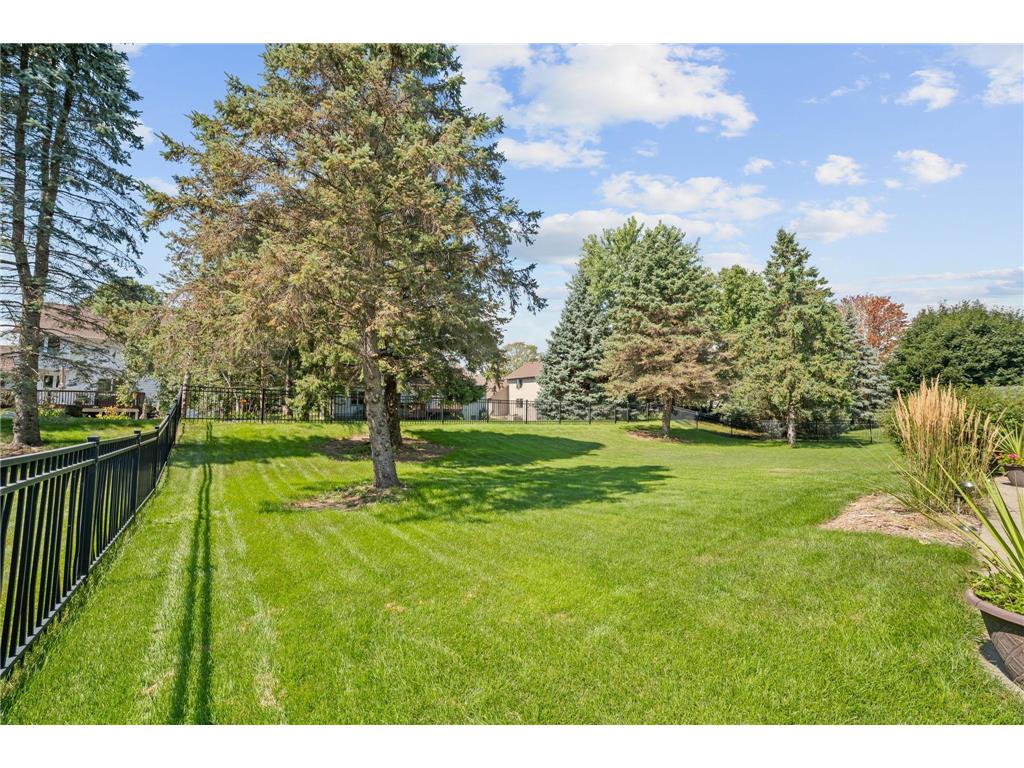 11239 Apennine Way Inver Grove Heights MN 55077 7057167 image55