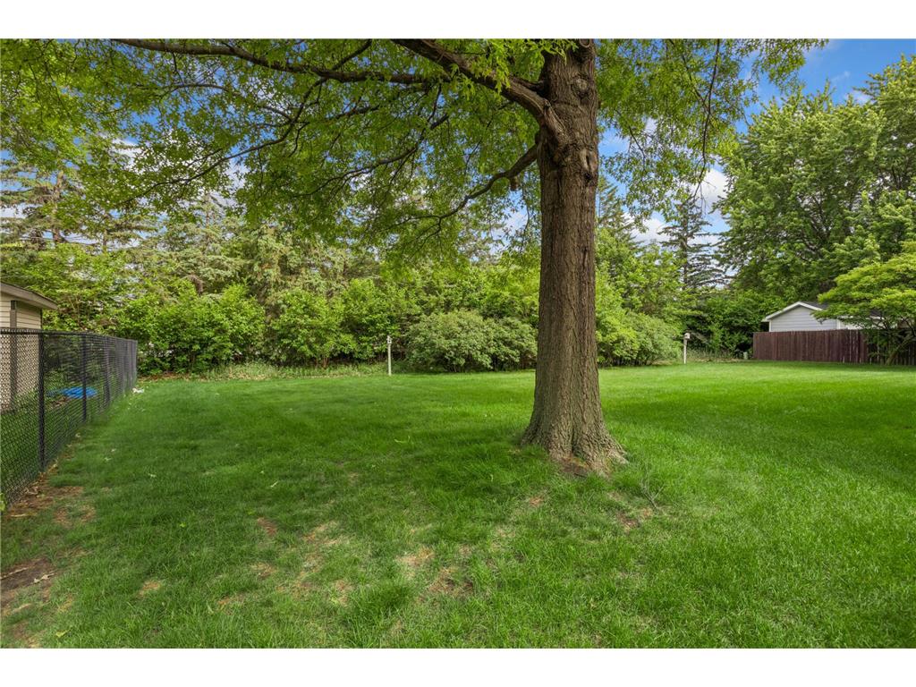 11239 Xylon Avenue N Champlin MN 55316 7089906 image37