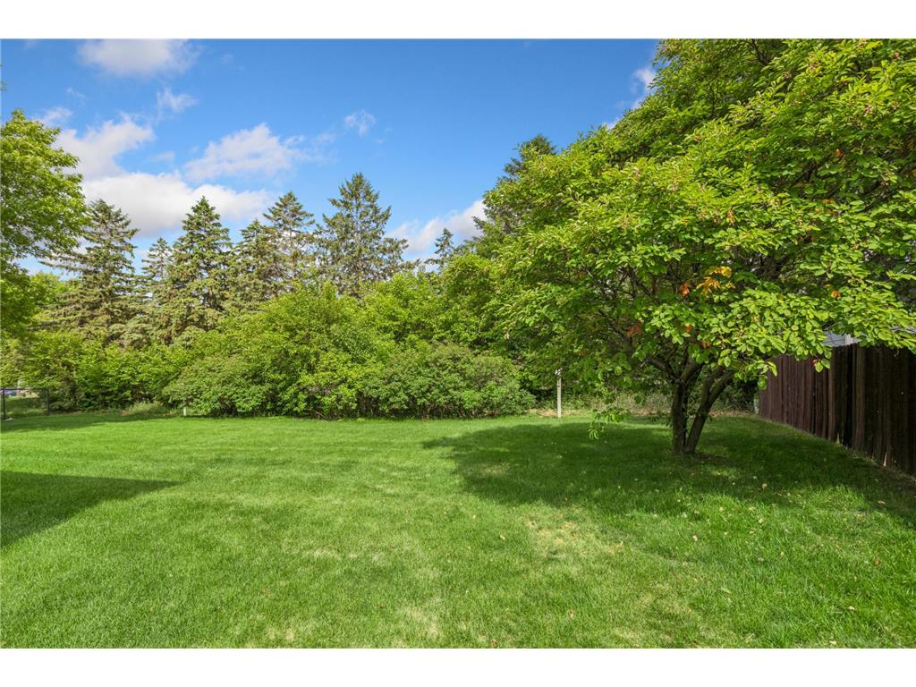 11239 Xylon Avenue N Champlin MN 55316 7089906 image4
