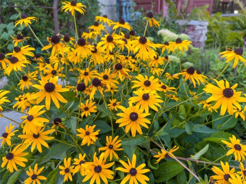 1124 8th Avenue SW Faribault MN 55021 6777691 image46