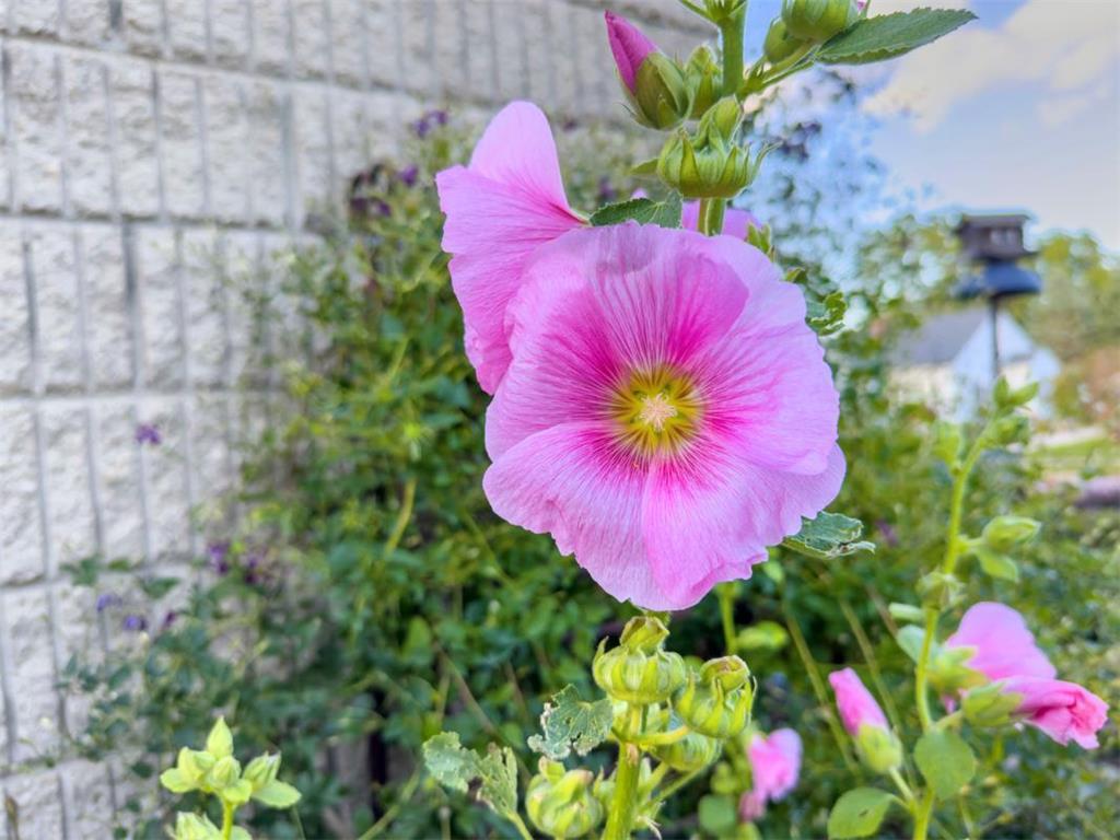 1124 8th Avenue SW Faribault MN 55021 6777691 image48