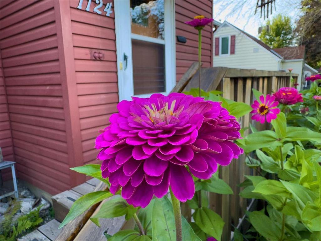 1124 8th Avenue SW Faribault MN 55021 6777691 image49