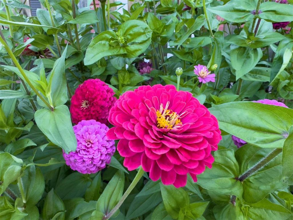 1124 8th Avenue SW Faribault MN 55021 6777691 image50