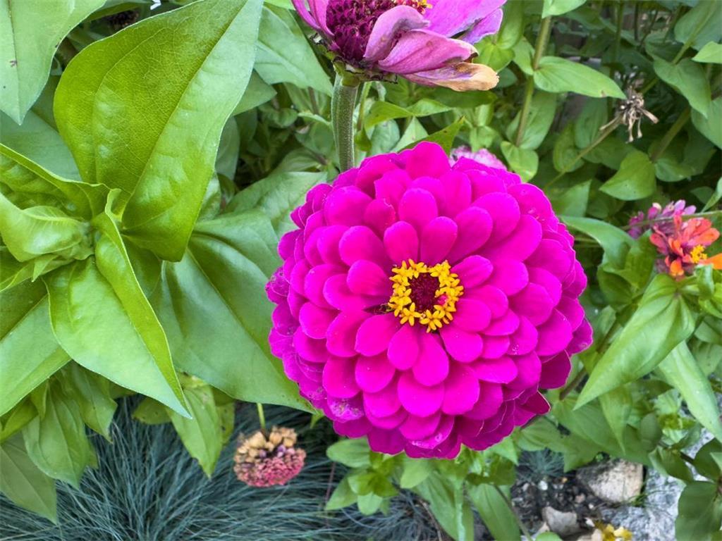 1124 8th Avenue SW Faribault MN 55021 6777691 image51