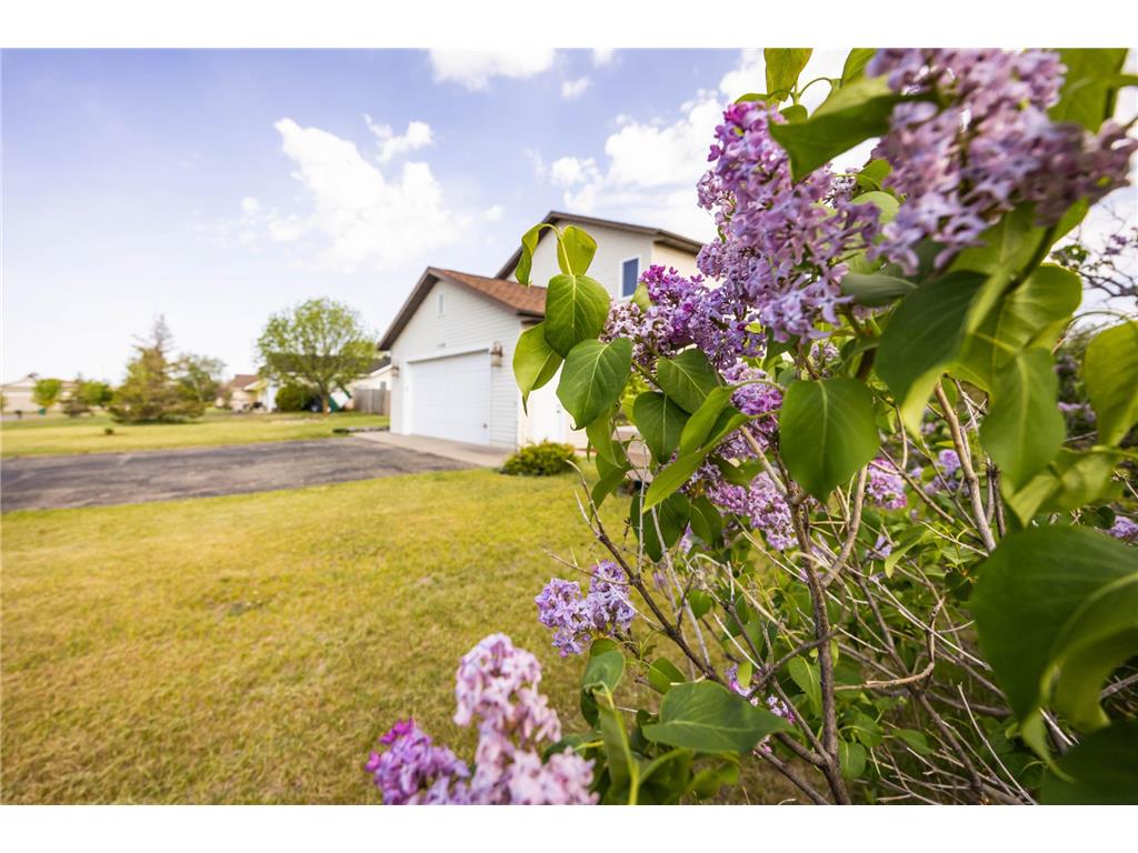 1124 Garnet Boulevard Detroit Lakes MN 56501 7021822 image40