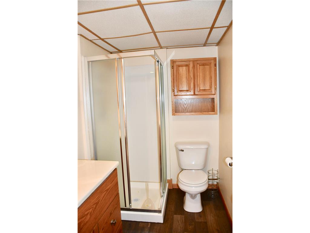 1124 River Drive NE Red Lake Falls MN 56750 - Red Lake River 6794441 image42