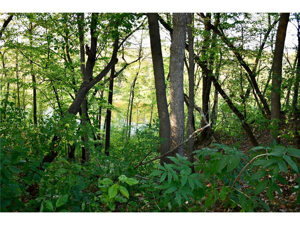 1124 River Drive NE Red Lake Falls MN 56750 - Red Lake River 6794441 image57