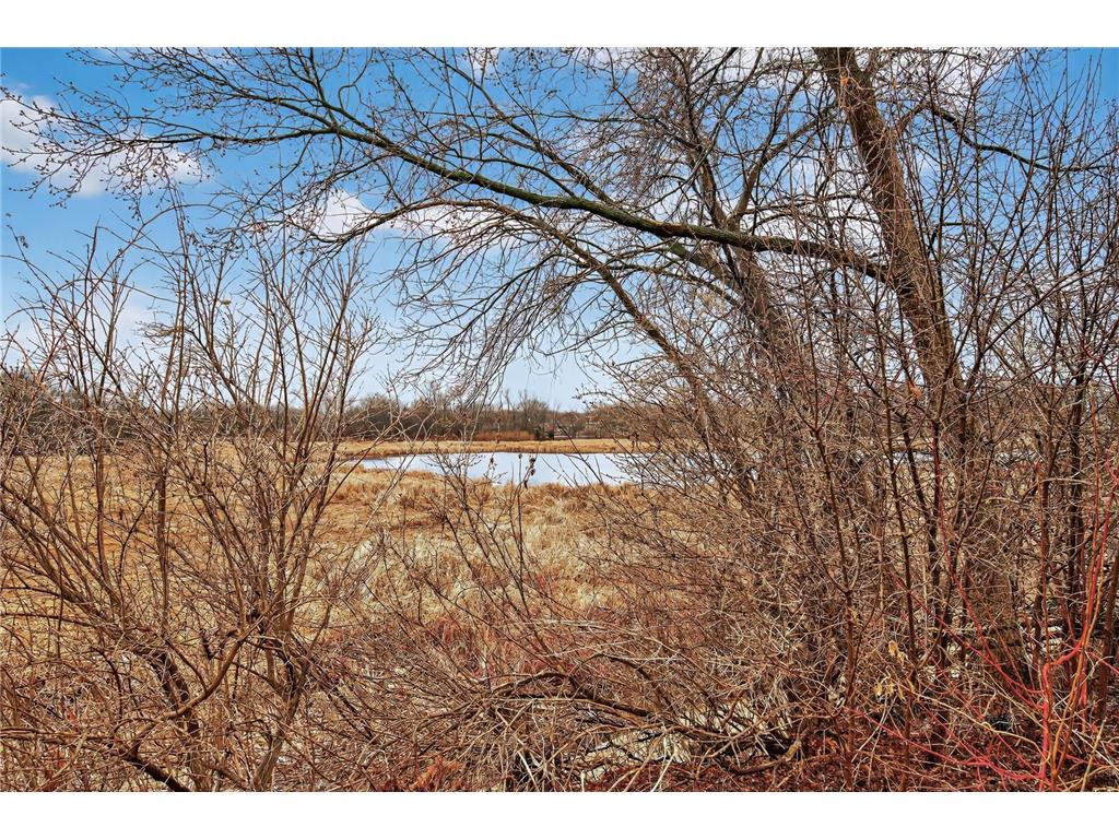 11245 57th Avenue N Plymouth MN 55442 7056970 image29