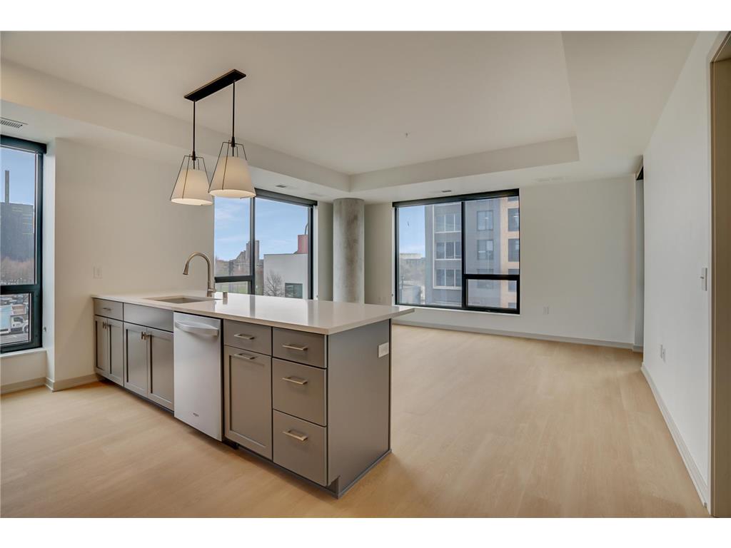 1125 S 2nd Street #A8 Minneapolis MN 55415 6331765 image1