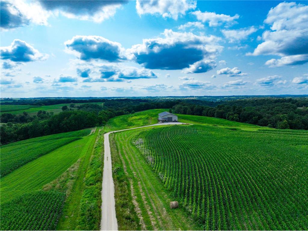 11250 Davy Road Union Twp MN 55941 6582935 image1