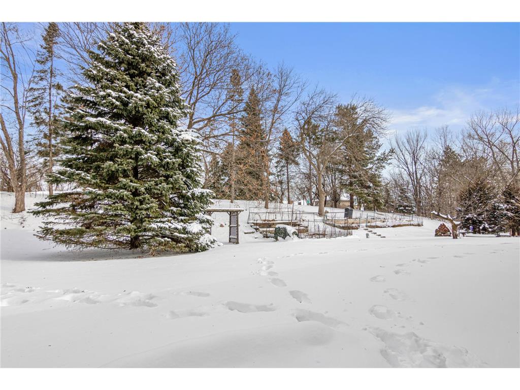 11250 Red Fox Drive Maple Grove MN 55369 - Pike 7038623 image33