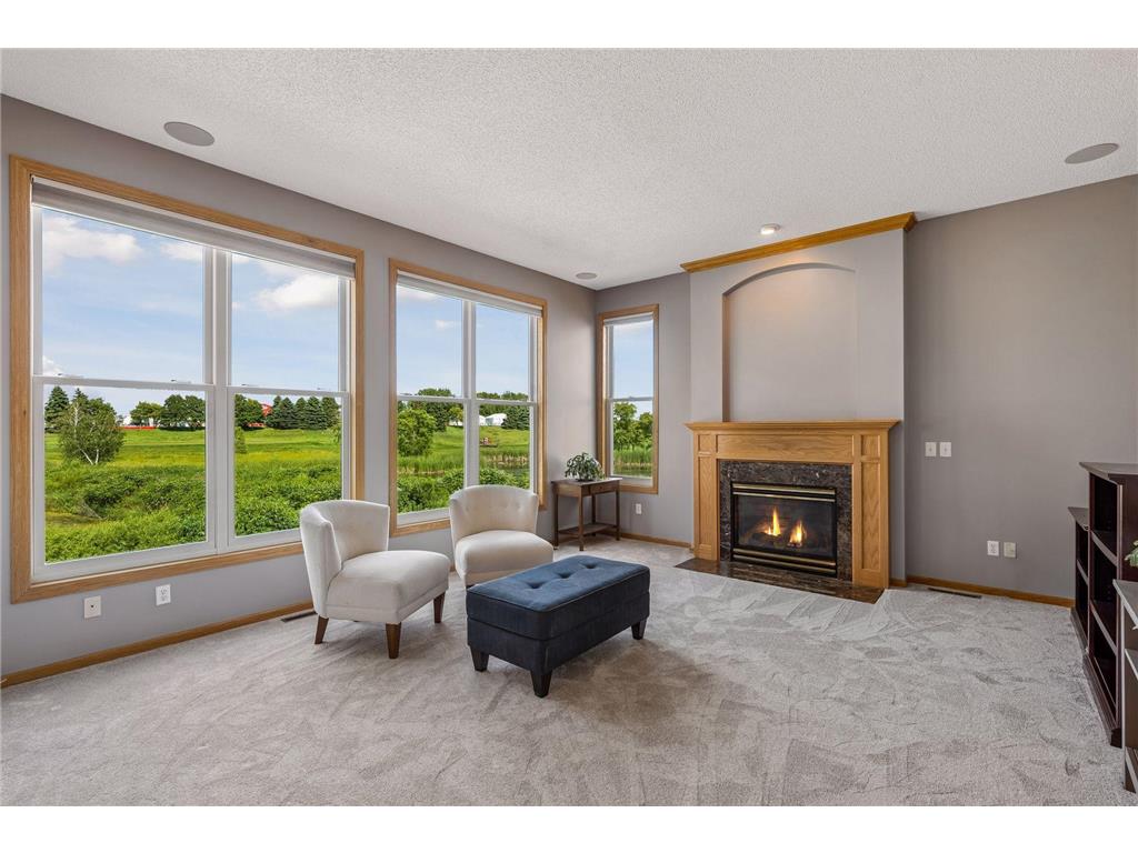 11251 Nassau Circle NE Blaine MN 55449 7109647 image18