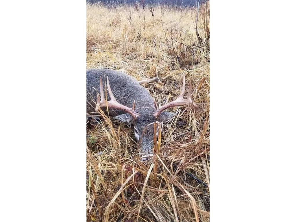 11254 Cr-110 Badoura Twp MN 56464 6557953 image1