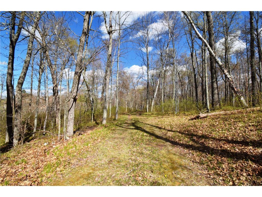 11265 N Tattoo Drive Chicog Twp WI 54888 - Pear Lake 7074544 image37