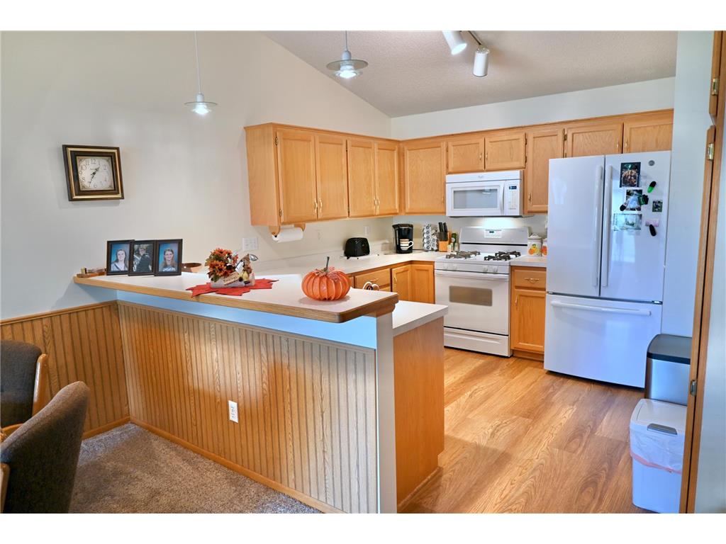 11267 Robinson Drive NW Coon Rapids MN 55433 6799164 image1