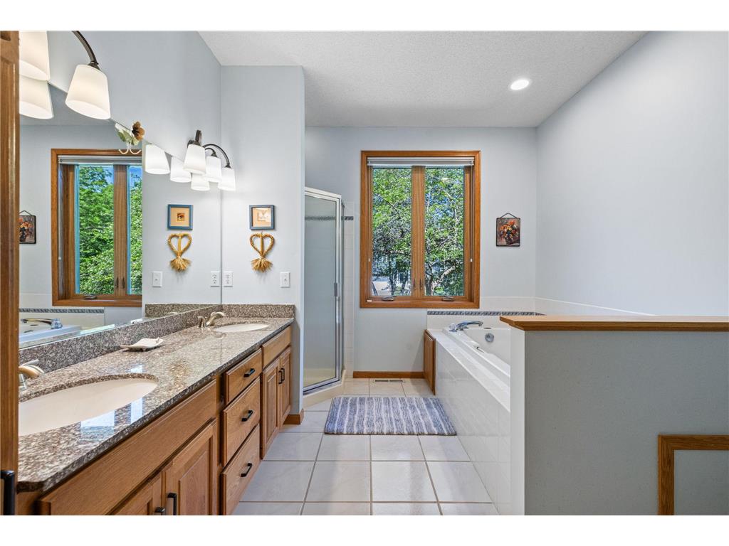 11272 Kenworth Lane Lakeville MN 55044 7067861 image29