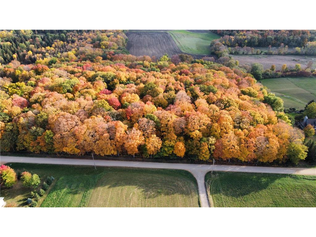 11275 66th Street Waconia MN 55387 6809691 image12