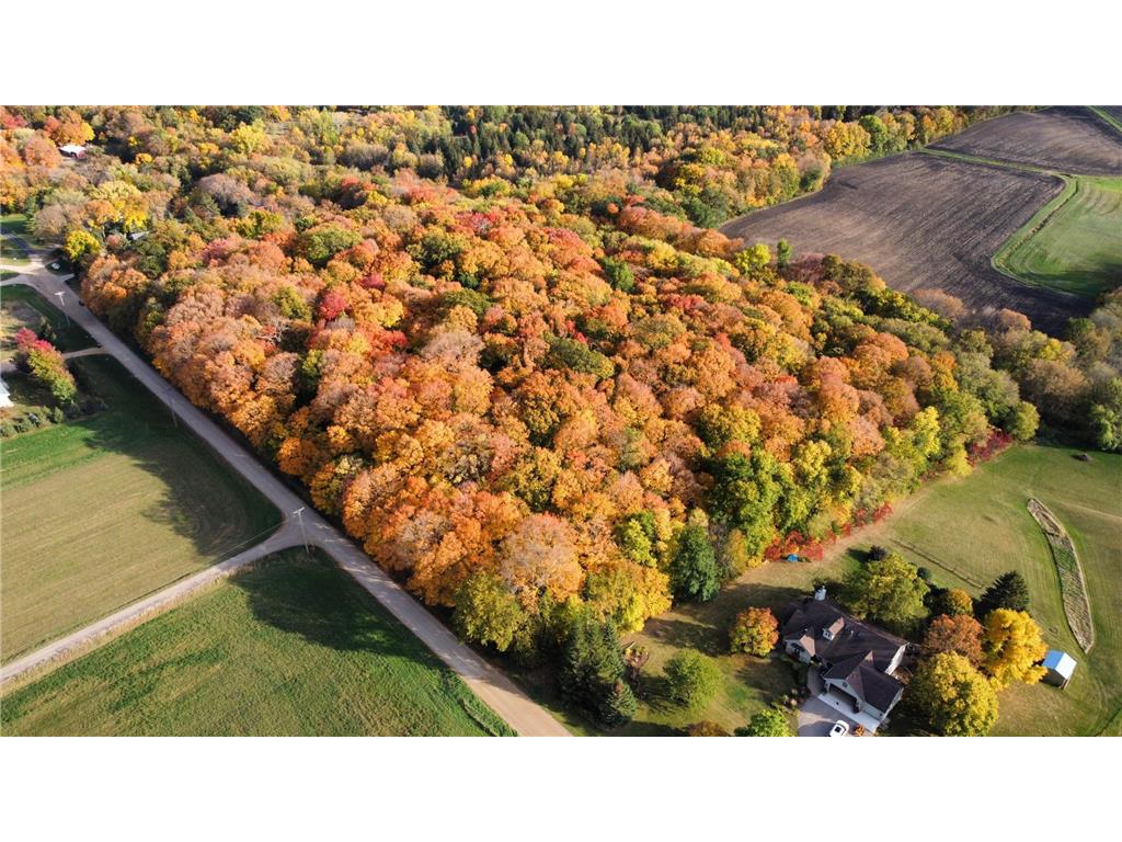 11275 66th Street Waconia MN 55387 6809691 image2