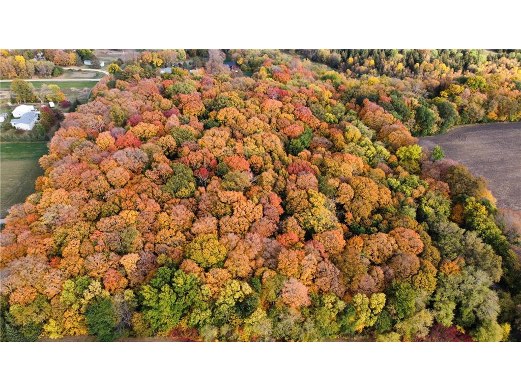 11275 66th Street Waconia MN 55387 6809691 image4