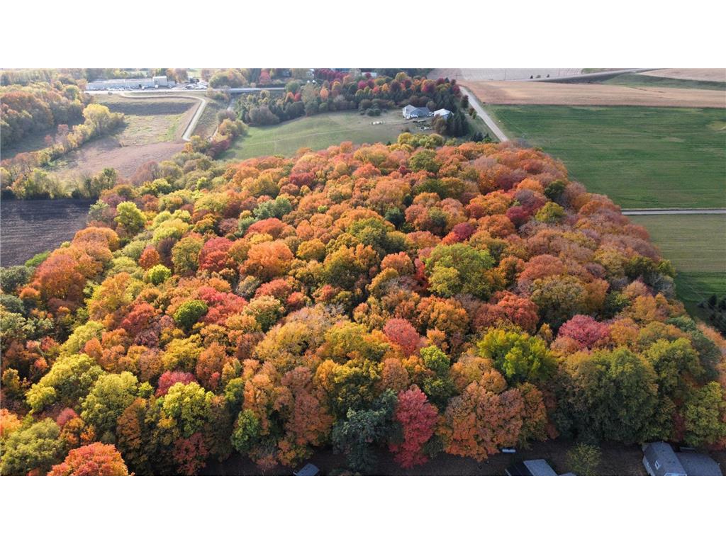 11275 66th Street Waconia MN 55387 6809691 image6